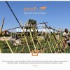 Ximo, agricultura ecològica - La Ribera