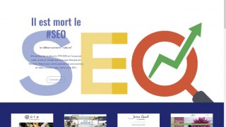 Jérôme Chesnot, SEO